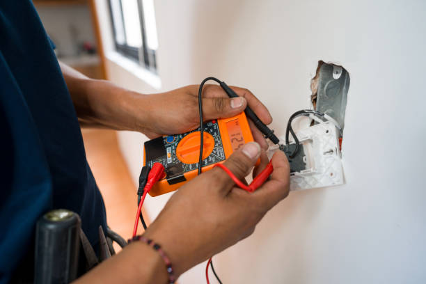 Best Electrical Repair Services  in Grand Ledge, MI