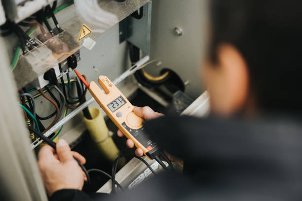 Best Electric Panel Repair  in Grand Ledge, MI