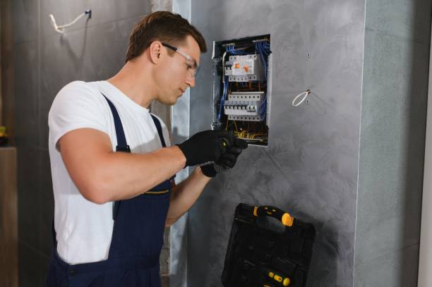 Best Home Electrical Repair  in Grand Ledge, MI