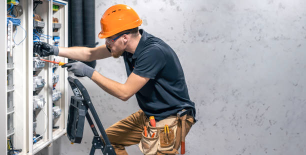Best Electrical System Inspection  in Grand Ledge, MI